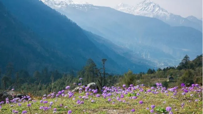  Yumthang
